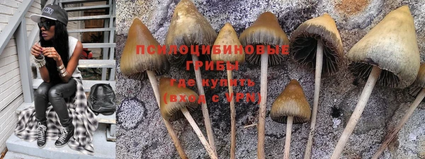 тгк Майский
