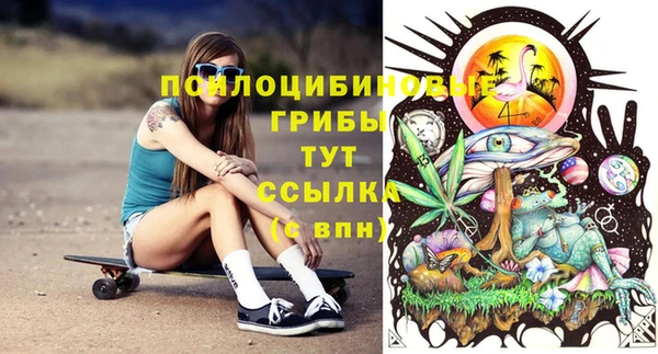 тгк Майский