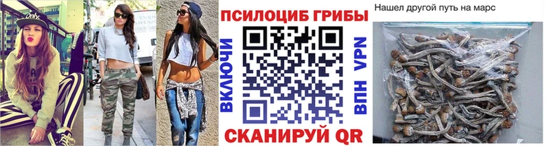 Псилоцибиновые грибы MAGIC MUSHROOMS  Нововоронеж 